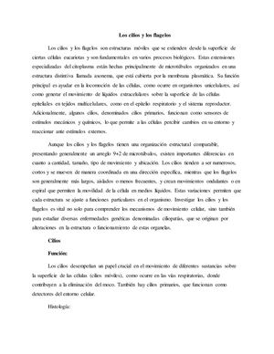 Los Cilios Y Los Flagelos