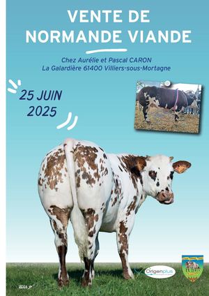 Catalogue Vente Culard 25 2025 V5