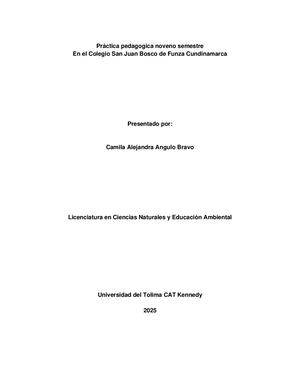 Practica pedagogica novenos semestre Camila Angulo