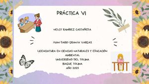 PORTAFOLIO PRÁCTICA VI