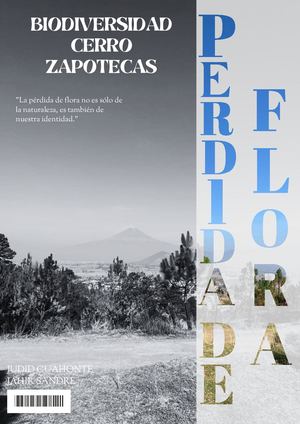 Perdida De Flora en el Cerro Zapotecas