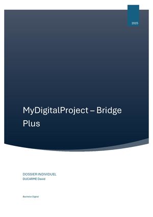 Dossier Individuel MDP