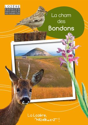 La Cham des Bondons