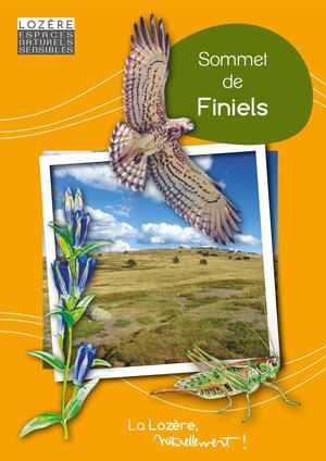 Sommet de Finiels