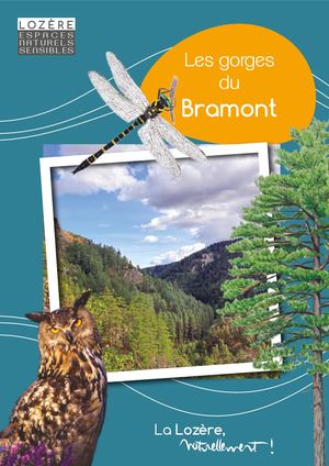 Les gorges du Bramont