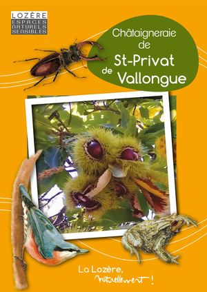 Châtaigneraie de St-Privat de Vallongue