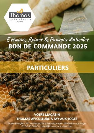 BC PART Essaims 2025 - Fay-aux-Loges (45)