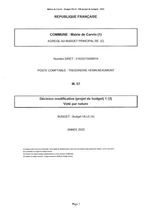 DÉCISION BUDGÉTAIRE MODIFICATIVE 1 BUDGET VILLE