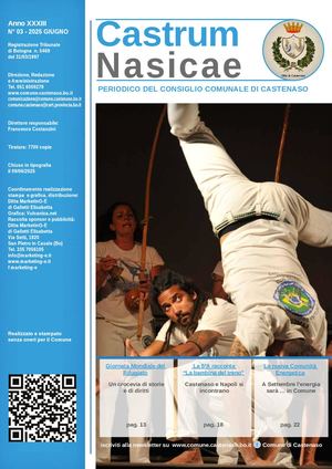 Castrum Nasicae 03