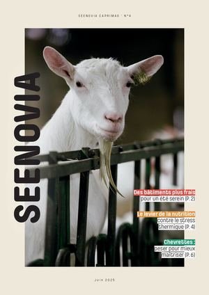 Seenovia MAG Caprin Juin 2025