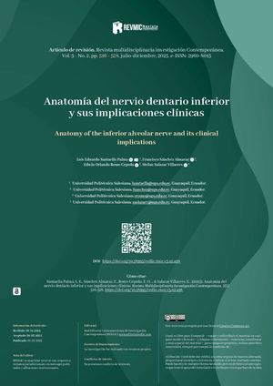 Anatomia Del Nervio Dentario