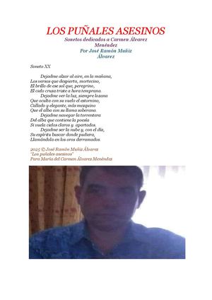 Los puñales asesinos-soneto XX