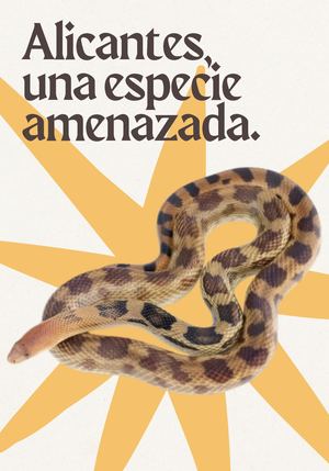 Revista Biologia Alicantes