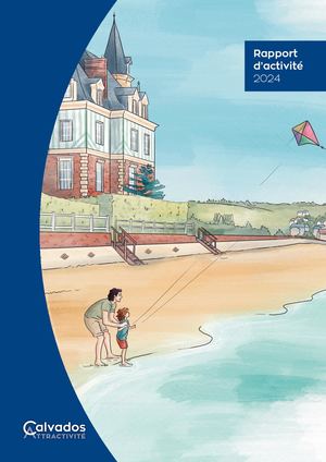 Rapport Activite 2024