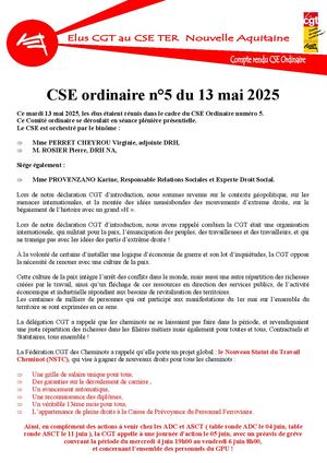 E2)20250513 Compte Rendu Cse Ter Na