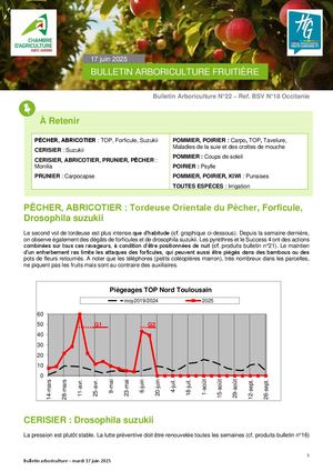 Bulletin Arbo n°22 du 17 Juin 2025