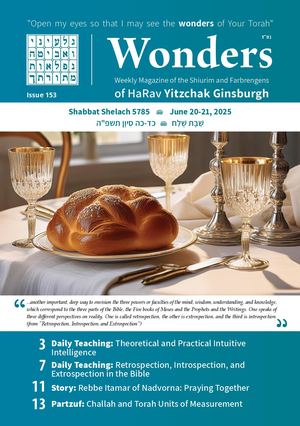 Wonders Issue 153 ∙ Shelach 5785
