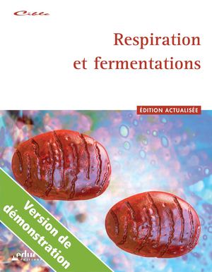 Respiration et fermentations