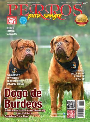 Revista Perros Pura Sangre | septiembre 2017