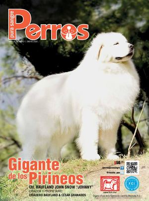 Revista Perros Pura Sangre | enero 2020
