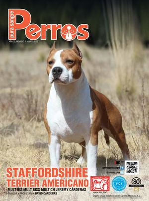 Revista Perros Pura Sangre | marzo 2020