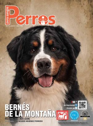 Revista Perros Pura Sangre | abril 2020