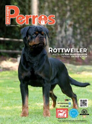 Revista Perros Pura Sangre | mayo 2020
