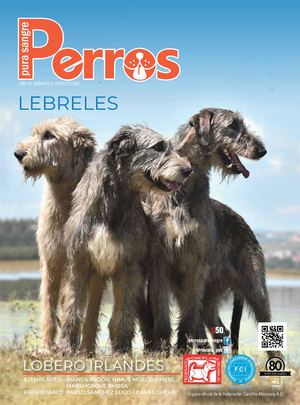 Revista Perros Pura Sangre | agosto 2020