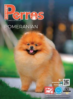 Revista Perros Pura Sangre | septiembre 2020