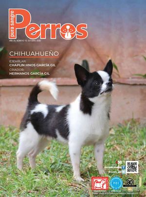 Revista Perros Pura Sangre | octubre 2020