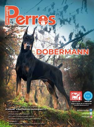 Revista Perros Pura Sangre | enero 2021