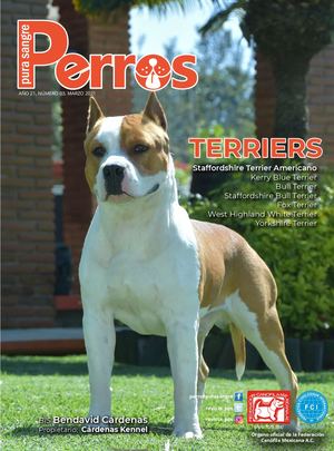 Revista Perros Pura Sangre | marzo 2021