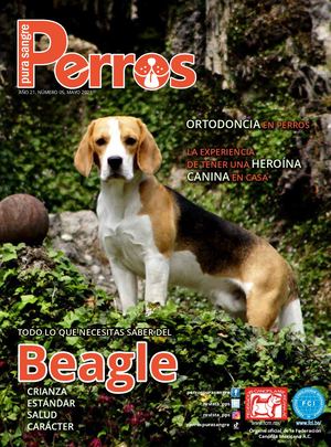 Revista Perros Pura Sangre | mayo 2021