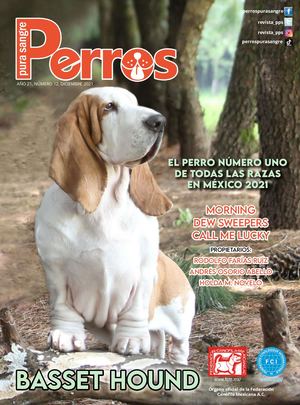 Perros Pura Sangre | Diciembre 2021