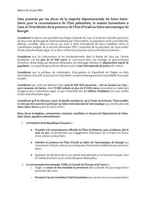 Vœu Palestine Séance 120625[1]