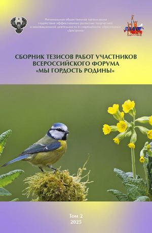 Сборник МГР 2025 1 Том 2