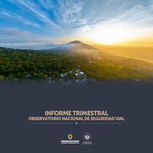 Informe Trimestral Onasevi 2025