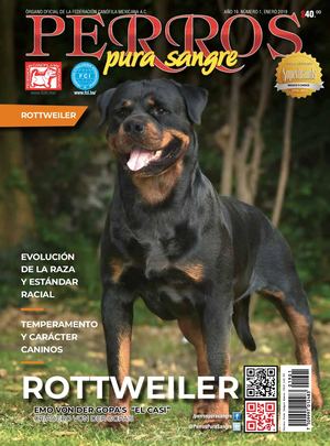 Revista Perros Pura Sangre | enero 2019