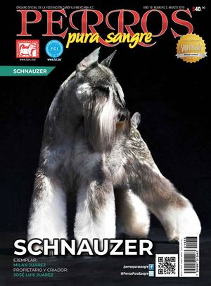 Revista Perros Pura Sangre | marzo 2019