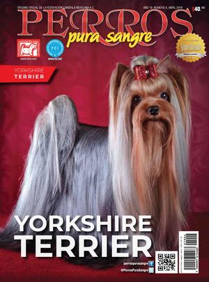 Revista Perros Pura Sangre | abril 2019
