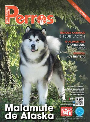 Revista Perros Pura Sangre | septiembre 2019