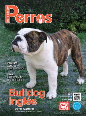 Revista Perros Pura Sangre | diciembre 2019
