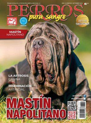 Revista Perros Pura Sangre | septiembre 2018