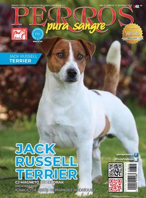 Revista Perros Pura Sangre | diciembre 2018