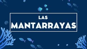 Mantarrayas (1)