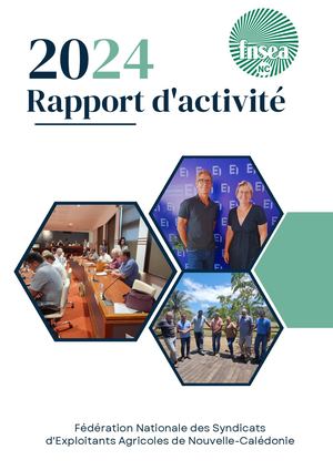 Rapport Dactivites 2024