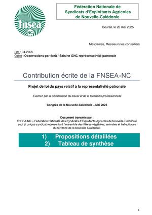 Cd 04 2025 Observations Par éCrit Saisine Gnc Représentativité Patronale