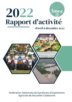 Rapport D'activité Annuel 2022 Fnseanc
