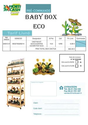 Offre Box Cactus Livré