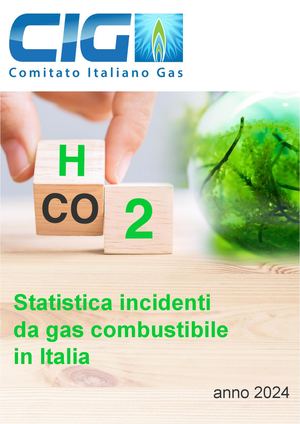 Statistica Incidenti Anno 2024